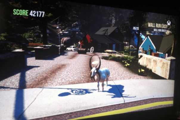 This Goat Has Gone To Heaven!